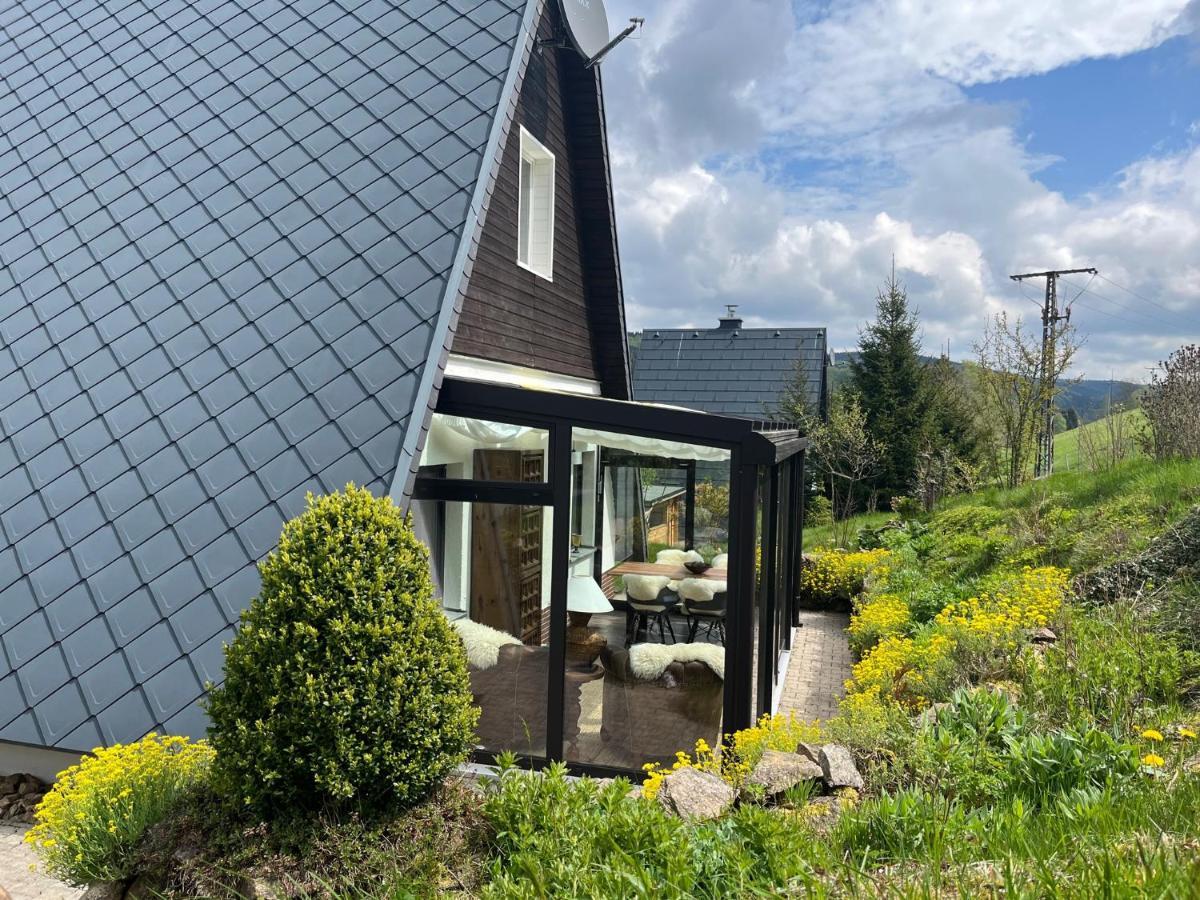 Вилла Fluegels Rebi-Baude Rechenberg-Bienenmuhle Экстерьер фото