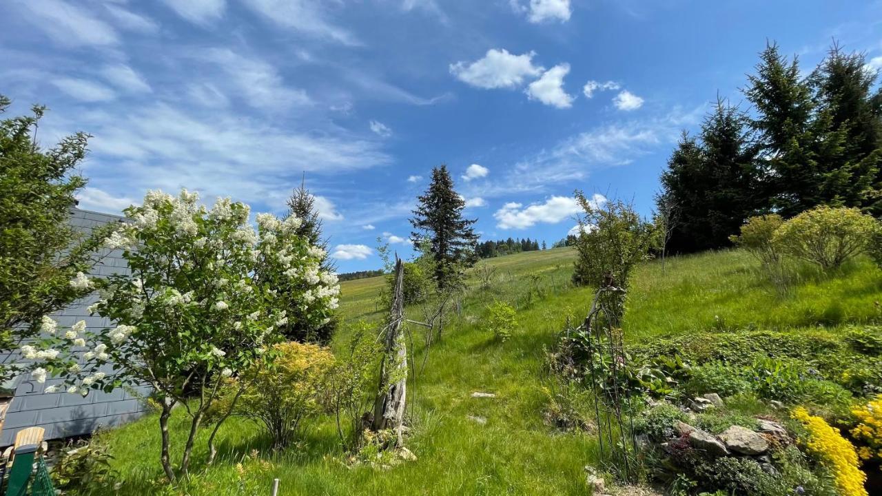 Вилла Fluegels Rebi-Baude Rechenberg-Bienenmuhle Экстерьер фото