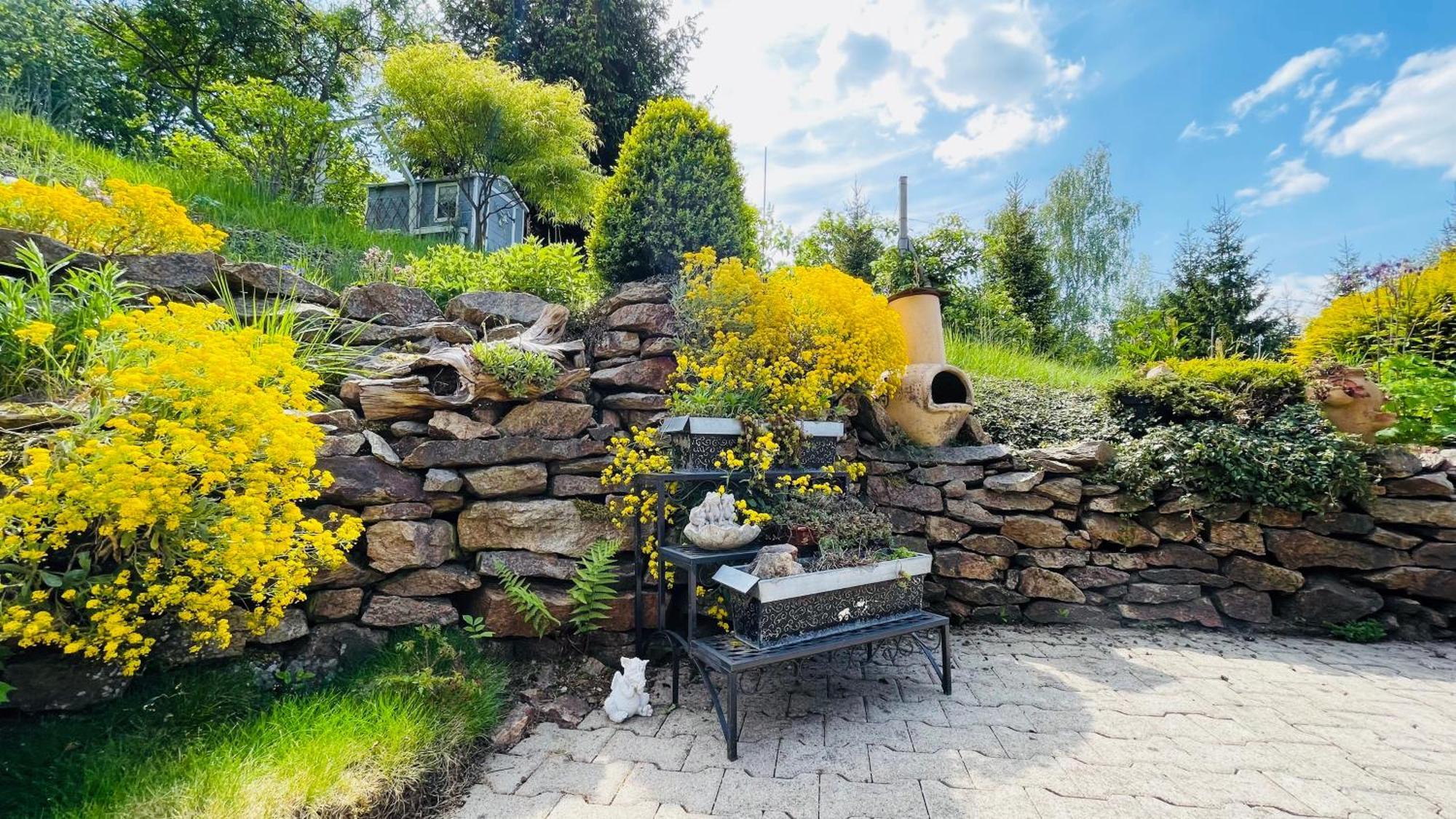 Вилла Fluegels Rebi-Baude Rechenberg-Bienenmuhle Экстерьер фото