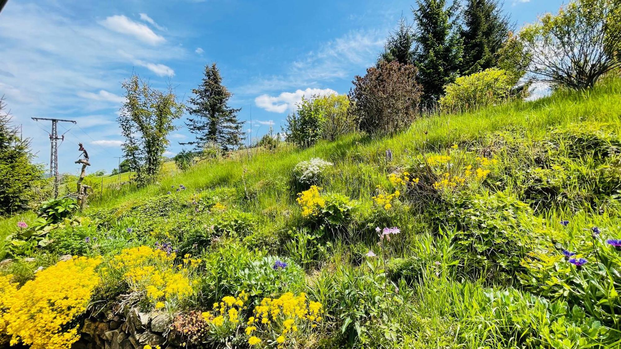 Вилла Fluegels Rebi-Baude Rechenberg-Bienenmuhle Экстерьер фото